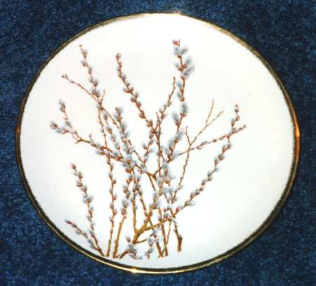 Pussy Willow (USA) by Nasco China (USA)