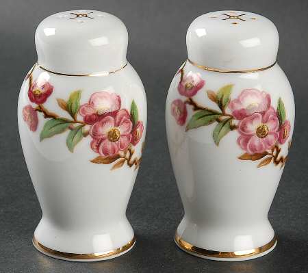 Blossomtime Salt & Pepper Set