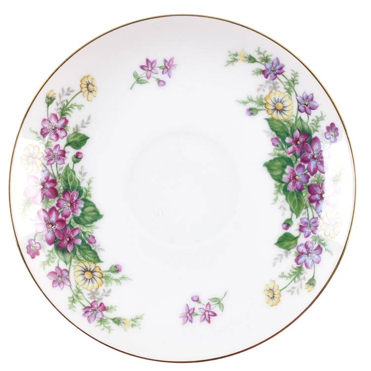 NAR12 Saucer