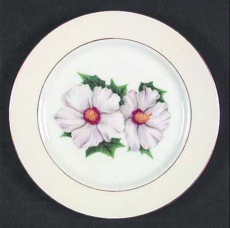 NAR9 Bread & Butter Plate
