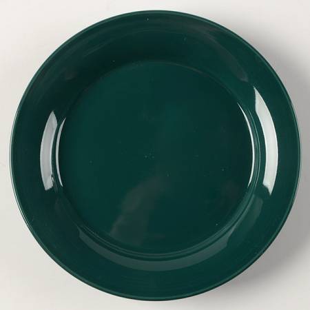 Solid Color Evergreen Bread & Butter Plate