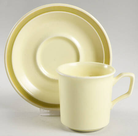 Cactus Flower Flat Cup & Saucer Set by Nikko