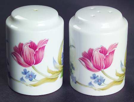 Dutch Treat Salt & Pepper Set