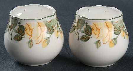 Gracious Salt & Pepper Set