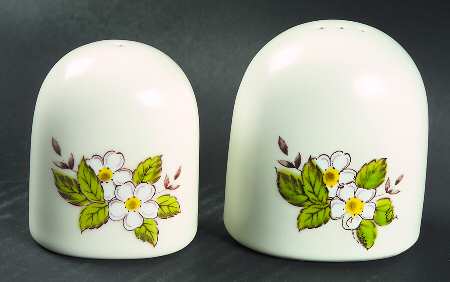 Orchard Salt & Pepper Set