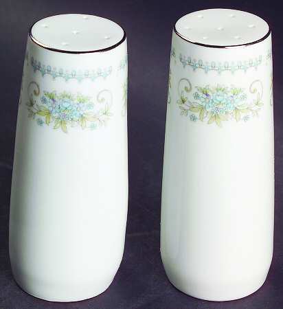 Hanover Platinum Salt & Pepper Set by Nitto