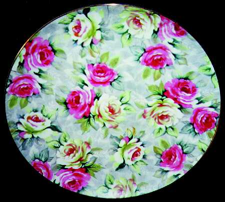 NOT2 Dinner Plate