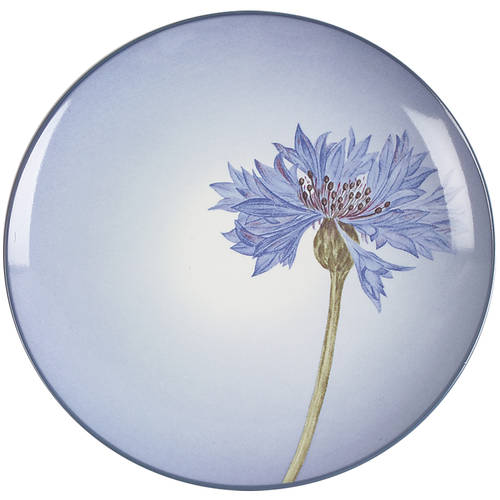 Colorwave Blue Accent Salad Plate