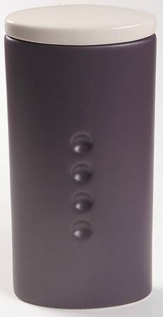 Colorwave Purple Medium Canister & Lid