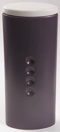 Colorwave Purple Large Canister & Lid
