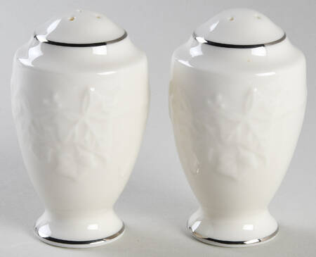 Halls of Ivy Platinum Salt & Pepper Set