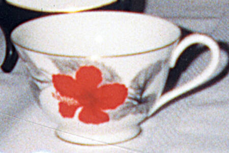 N1091 Footed Cup