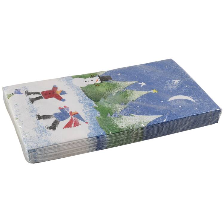 Winter Wonderland Package of Paper Dinner Napkins