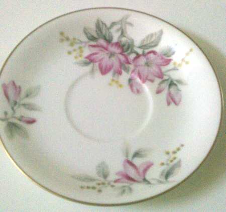N1166 Saucer