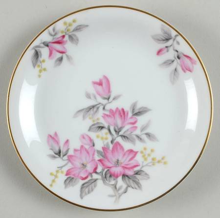 N1166 Bread & Butter Plate