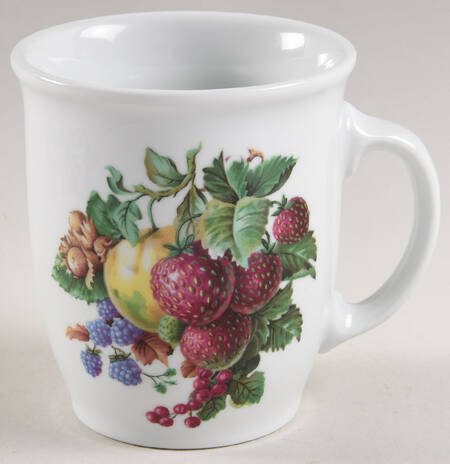 NAA4 Mug