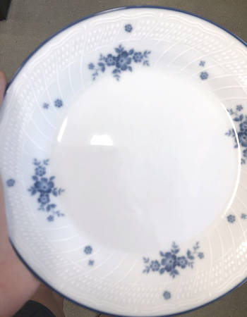 1379 Dinner Plate