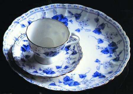 Solaria Dinner Plate