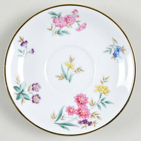 N1308 Saucer