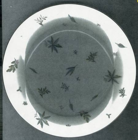 5650 by Noritake