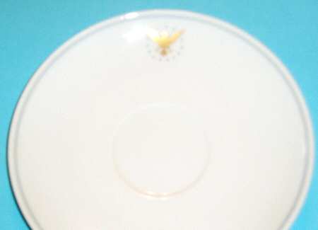 President (Gray Band) Saucer