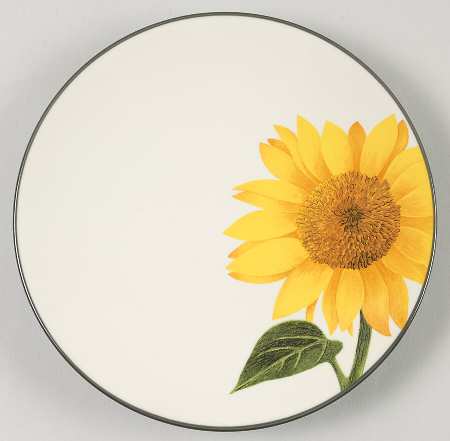 Colorwave Graphite Appetizer Plate by Noritake