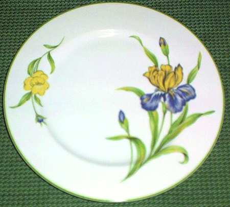 Iris by Norleans