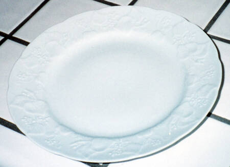 NPC2 Dinner Plate