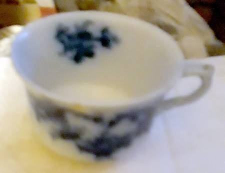 Clyde Flat Cup