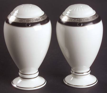 Patrina Platinum Salt & Pepper Set