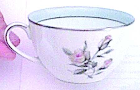 N2014 Flat Cup