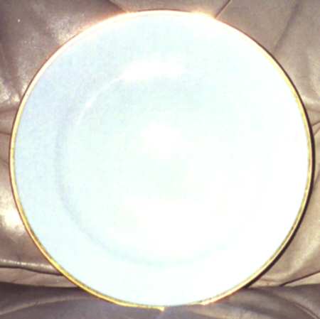 NIP66 Dinner Plate