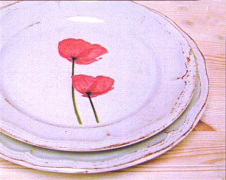 Carnation Rustic by Nikko