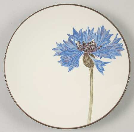 Colorwave Chocolate Appetizer Plate