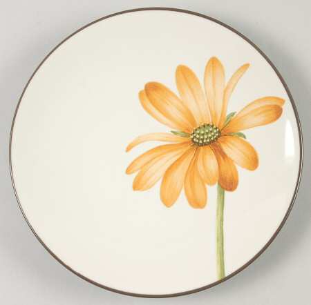 Colorwave Chocolate Appetizer Plate