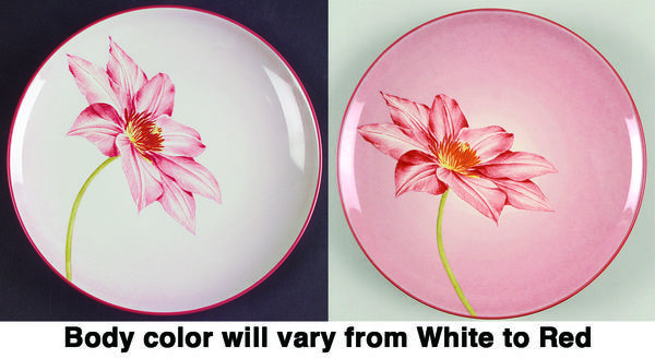 Colorwave Raspberry Accent Salad Plate by Noritake