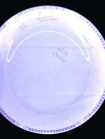 N2207 by Noritake
