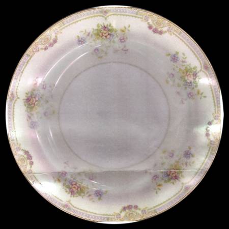 N2260 Dinner Plate