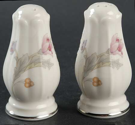 Avery Platinum Salt & Pepper Set