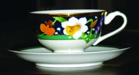 Seasons Touch by Noritake