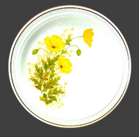 Yellow Poppies by Nikko