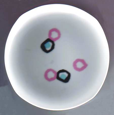 N2360 Salad Plate