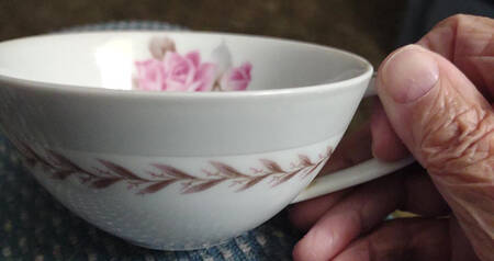 N2395 Flat Cup