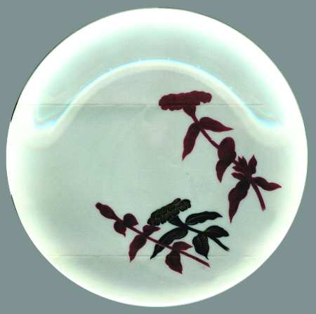 N2700 by Noritake