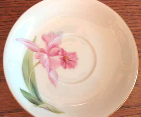 N2713 Saucer