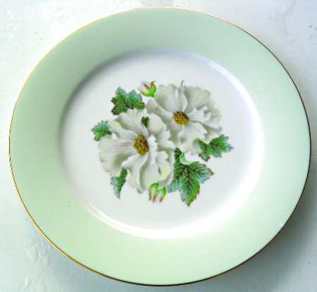 N2759 Luncheon Plate