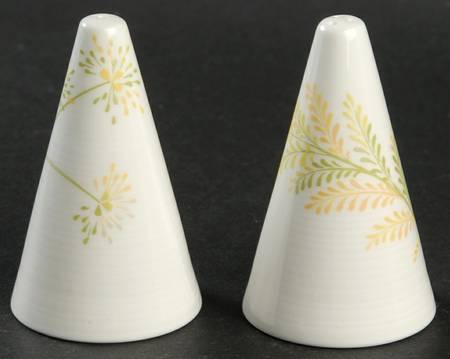Aki Salt & Pepper Set
