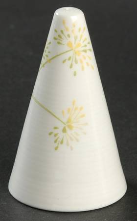 Aki Salt Shaker