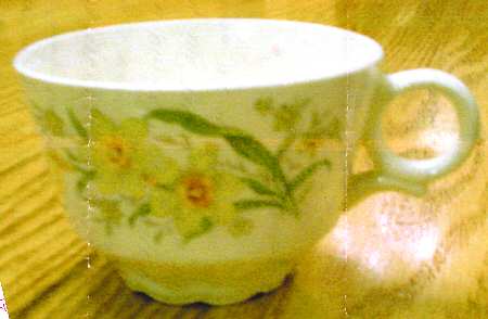 Narcissus Flat Cup