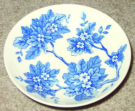 Paradise Saucer